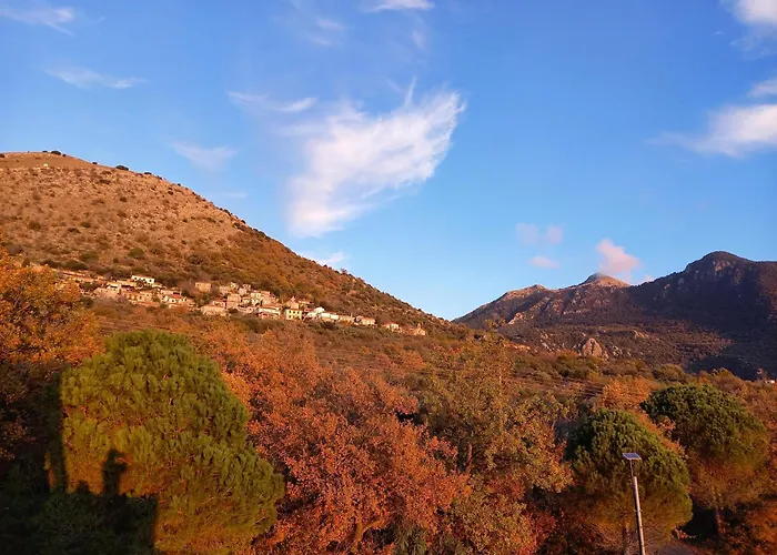 Spitiko Marias Tseria